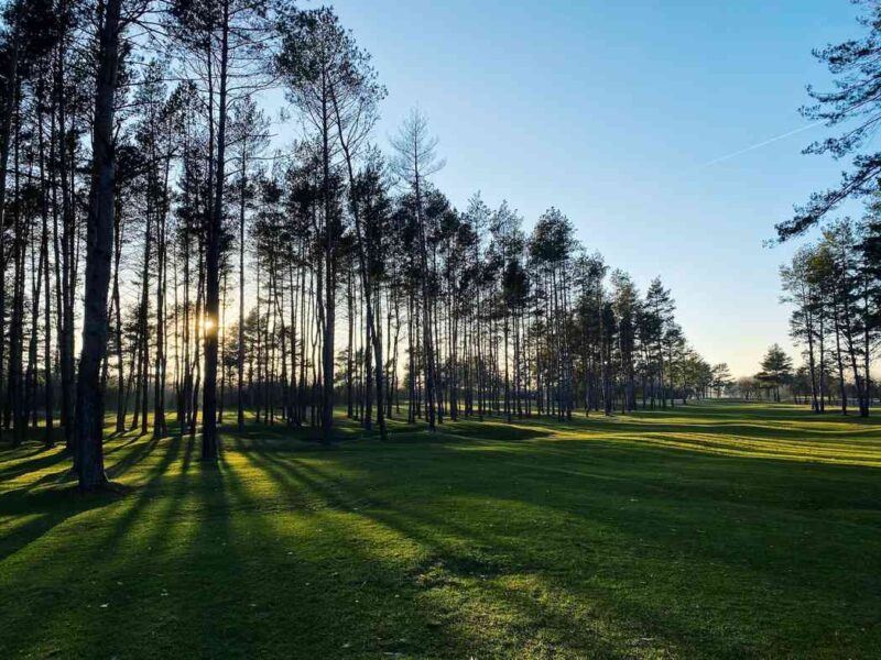 Najbardziej Zielone Pole Golfowe W Polsce Karolinka Golf Park