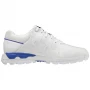 Męskie buty golfowe Mizuno Wave Hazard Pro white